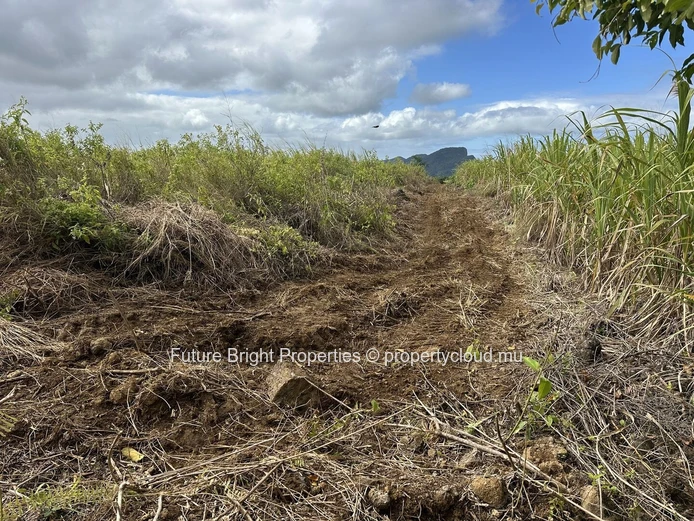 206 perches Agricultural Land for Sale in Providence Quartier Militaire.