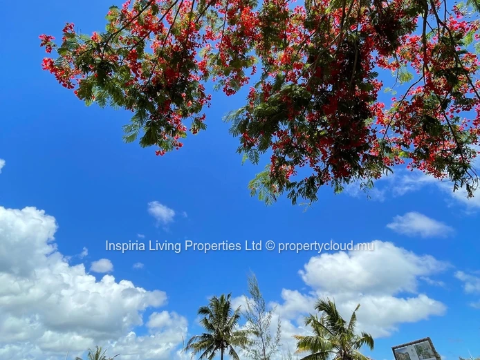 Palm-fringed 641 sqm Gated Walled Lot at Natura Villas, Bras d'Eau
