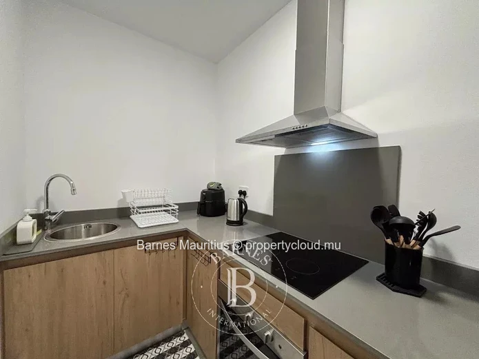 PHOENIX - Charmant appartement neuf à louer - une chambre