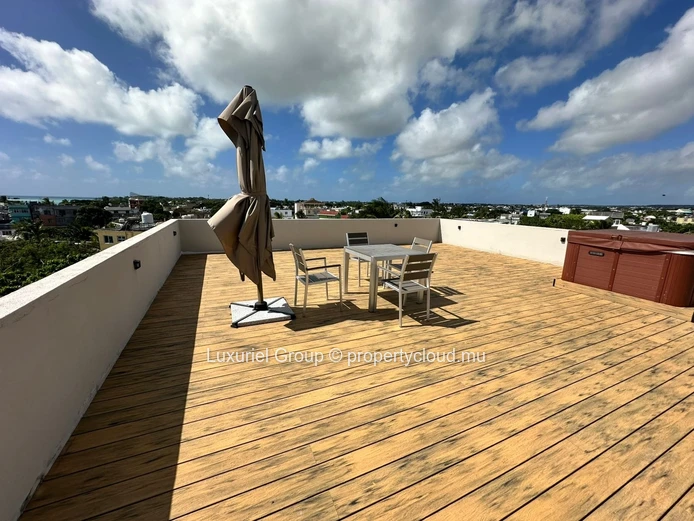 3-Bedroom Penthouse For Long-Term Rent