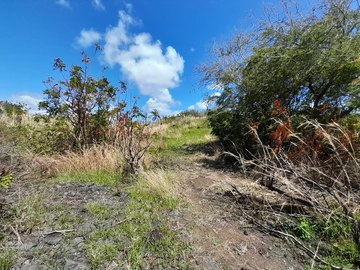 Residential Land