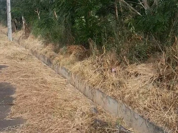 Residential Land