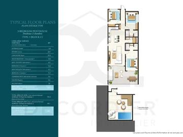 3 Bedroom Apartment