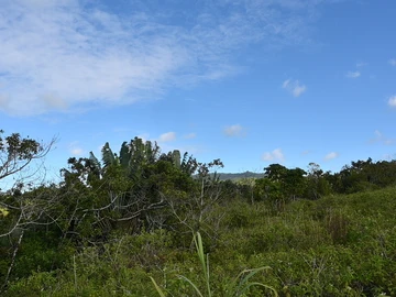 Terrain Agricole