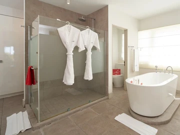 4 Bedroom Penthouse