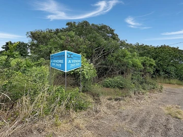 Land