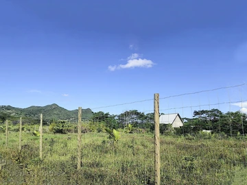 Land