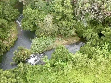 Agricultural Land