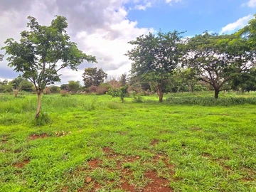 Agricultural Land