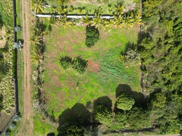 Terrain Résidentiel