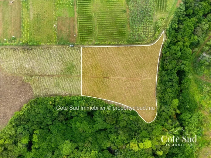 À VENDRE – Terrain agricole à Chamouny