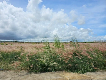 Residential Land
