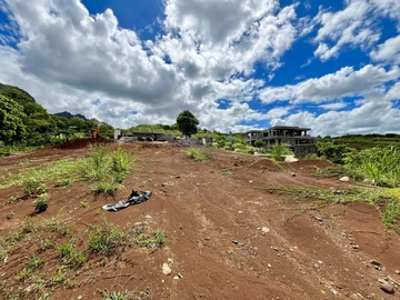 Terrain