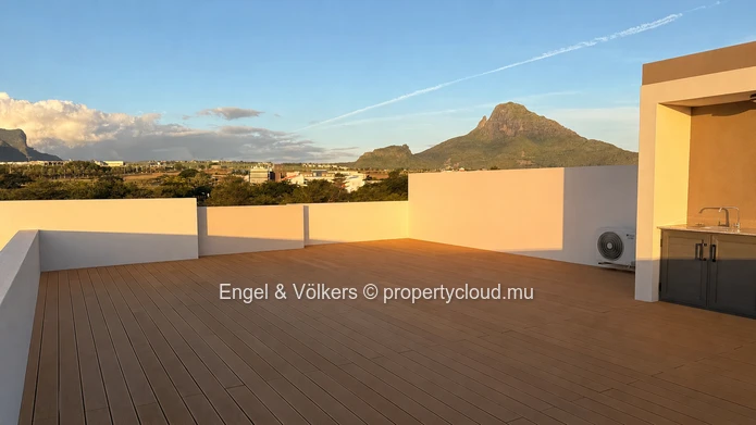 Penthouse with Private Rooftop and Panoramic Views