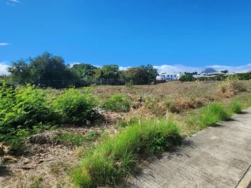Land
