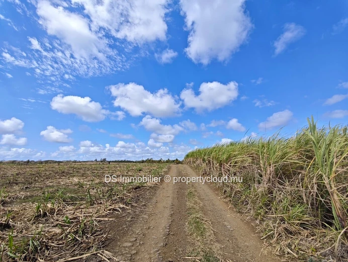 FOR SALE – RESIDENTIAL LAND IN MONT MASCAL – NORTH Located in a highly sought-after area, this residential plot in Mo...