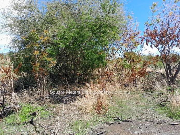 Terrain Construit Prêt à Bâtir à Grand Gaube – 511 m² en Toute Propriété (Mandat exclusif)