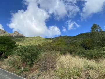Land