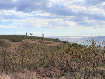 Residential Land
