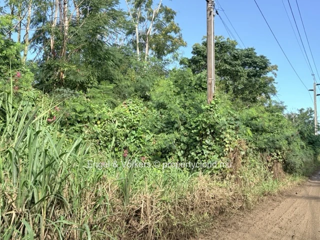 FOR SALE - Residential Land in Black River