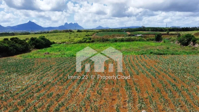 Agricultural Land - 9696.73m2 - Phoenix - Ref. TE81651VE