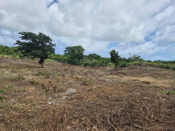 Agricultural Land