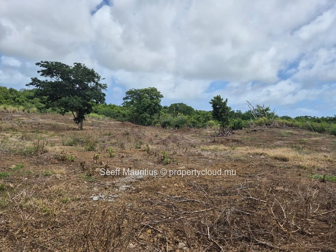 À vendre — Grand terrain agricole à La Forêt d'Aruty