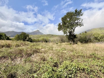 Residential Land