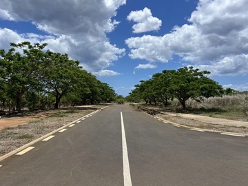 Residential Land