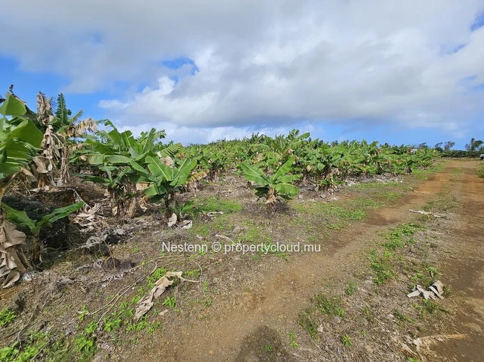 Agricultural Land of 8,146.10m² 
