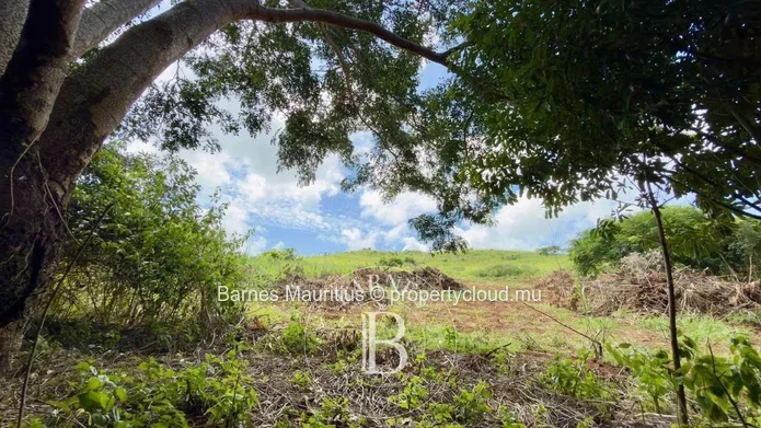 BAIE DU CAP – Terrain agricole avec vue mer et montagne - 4 789 m²