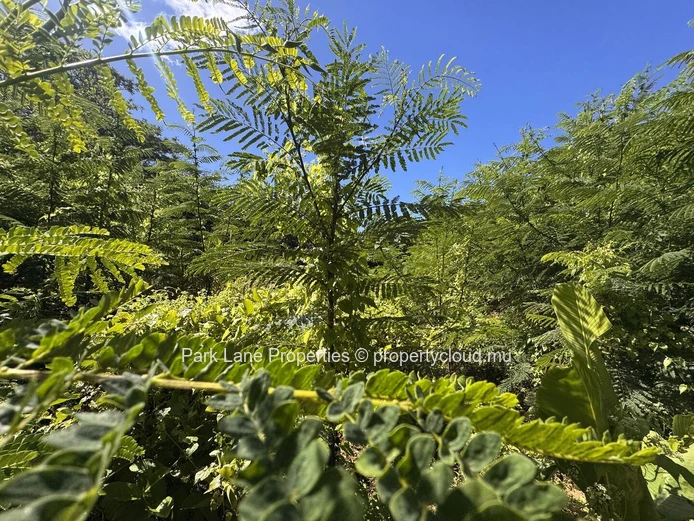 Agricultural plot for sale in Chamarel