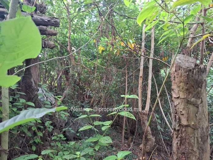 Land of 4965.12 m² 2.8 kms from main road.