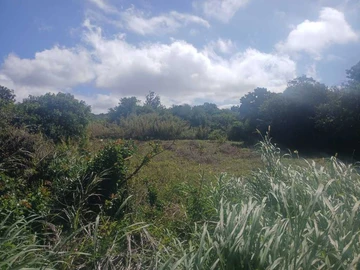 Agricultural Land