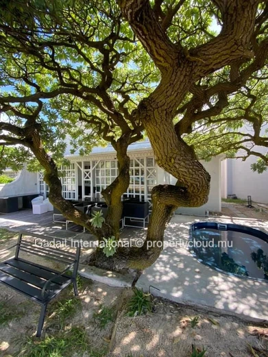 Beachfront Duplex for Sale in Palmar – Prime Investment Opportunity