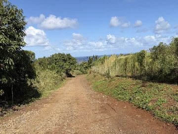 Agricultural Land