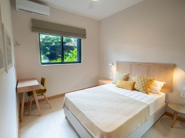 3 Bedroom Apartment