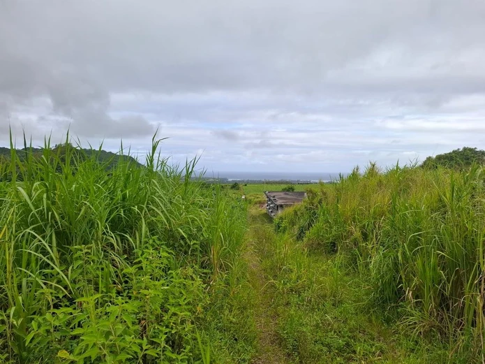 Agricultural land of 12,491.13 m², ideally located in the peaceful and green surroundings 