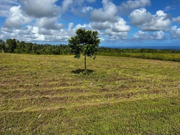 Agricultural Land