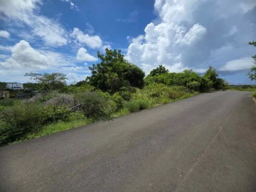 Residential Land