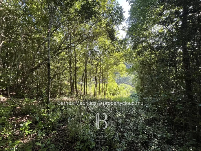 CHAMAREL - Terrain agricole - 10 276 m²