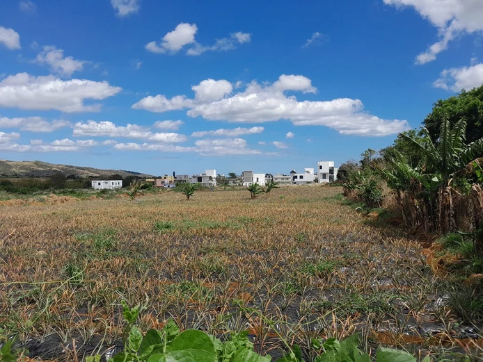 Residential Land for Sale in Ilot (Sole Mandate)