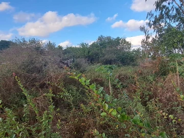Residential Land