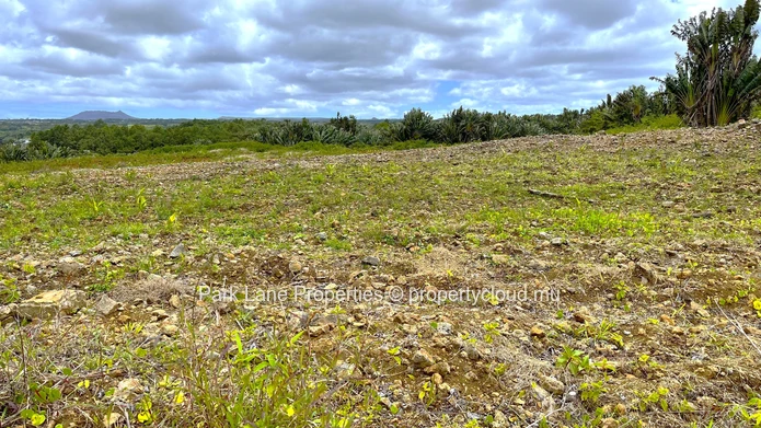 Land with wonderful nature view