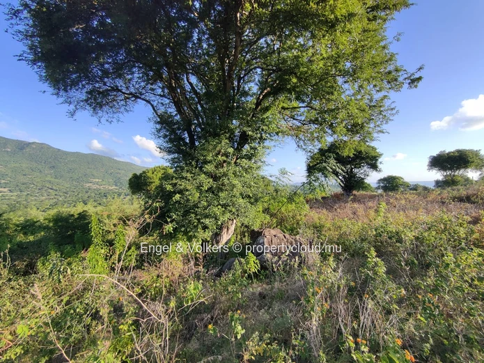 MAURITIAN CITIZENS ONLY | Domaine de Palmyre, Premium residential land, Tamarin / Black River