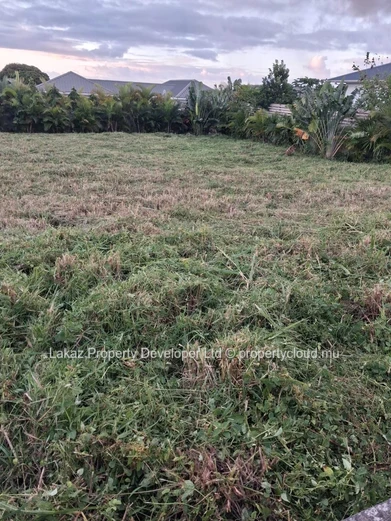1,237 m² at Mont Piton 