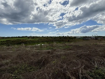 Terrain