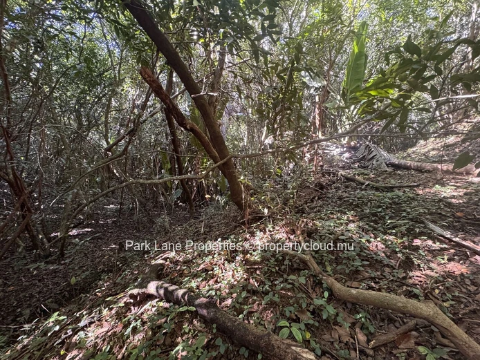 Agricultural plot for sale in Chamarel