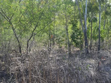 Residential Land