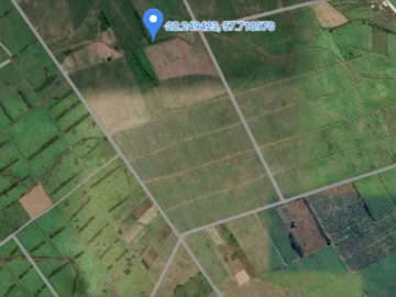 Agricultural Land
